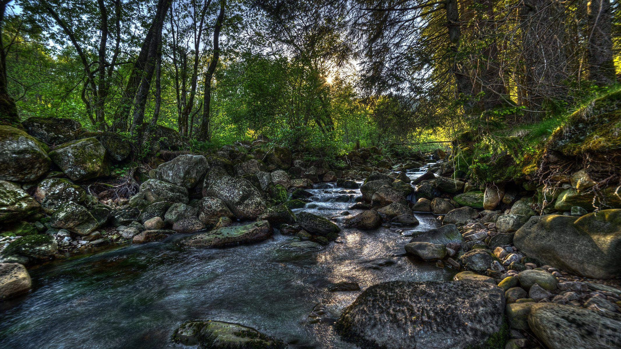 norway forest river stones tree