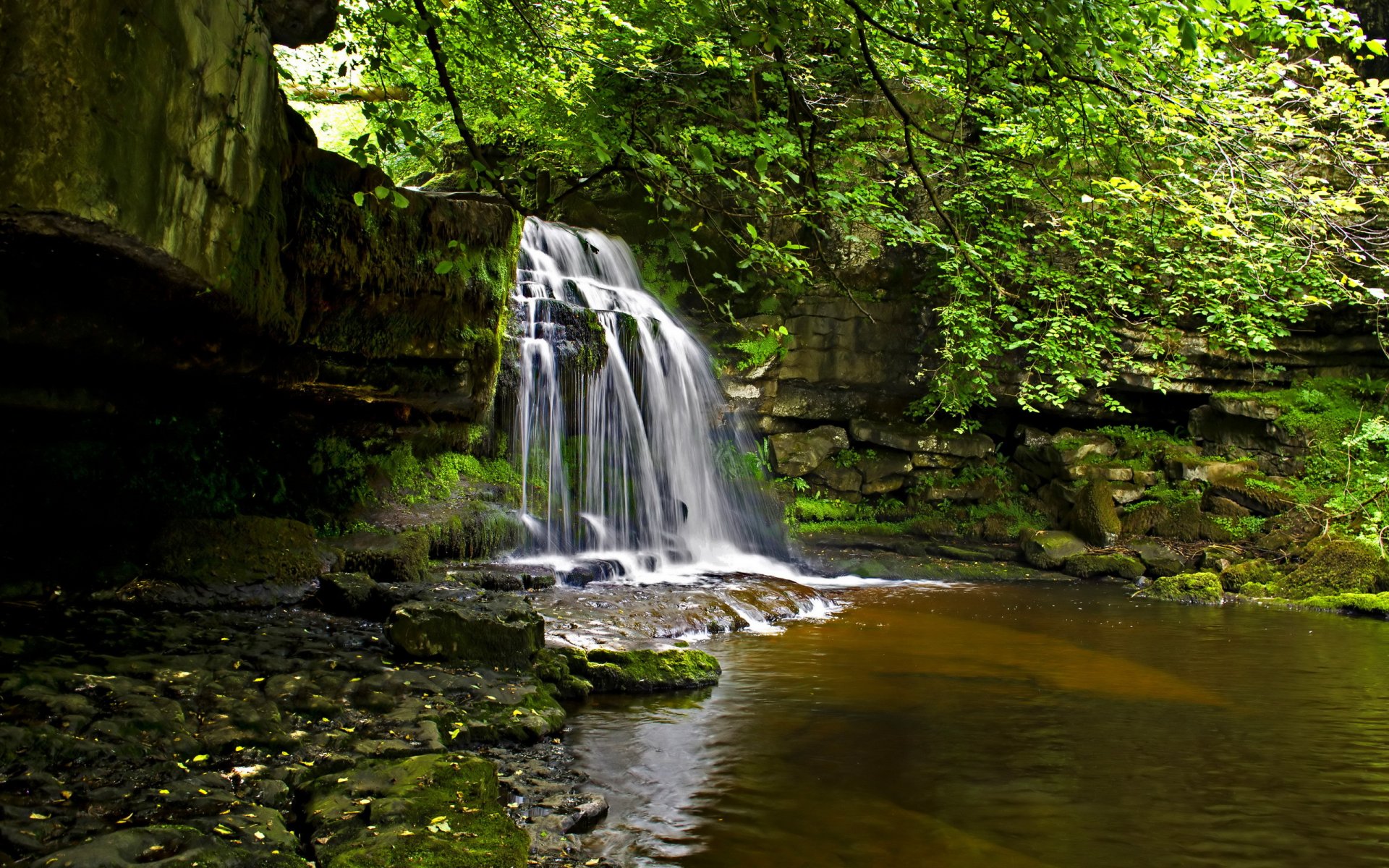 river waterfall forest nature