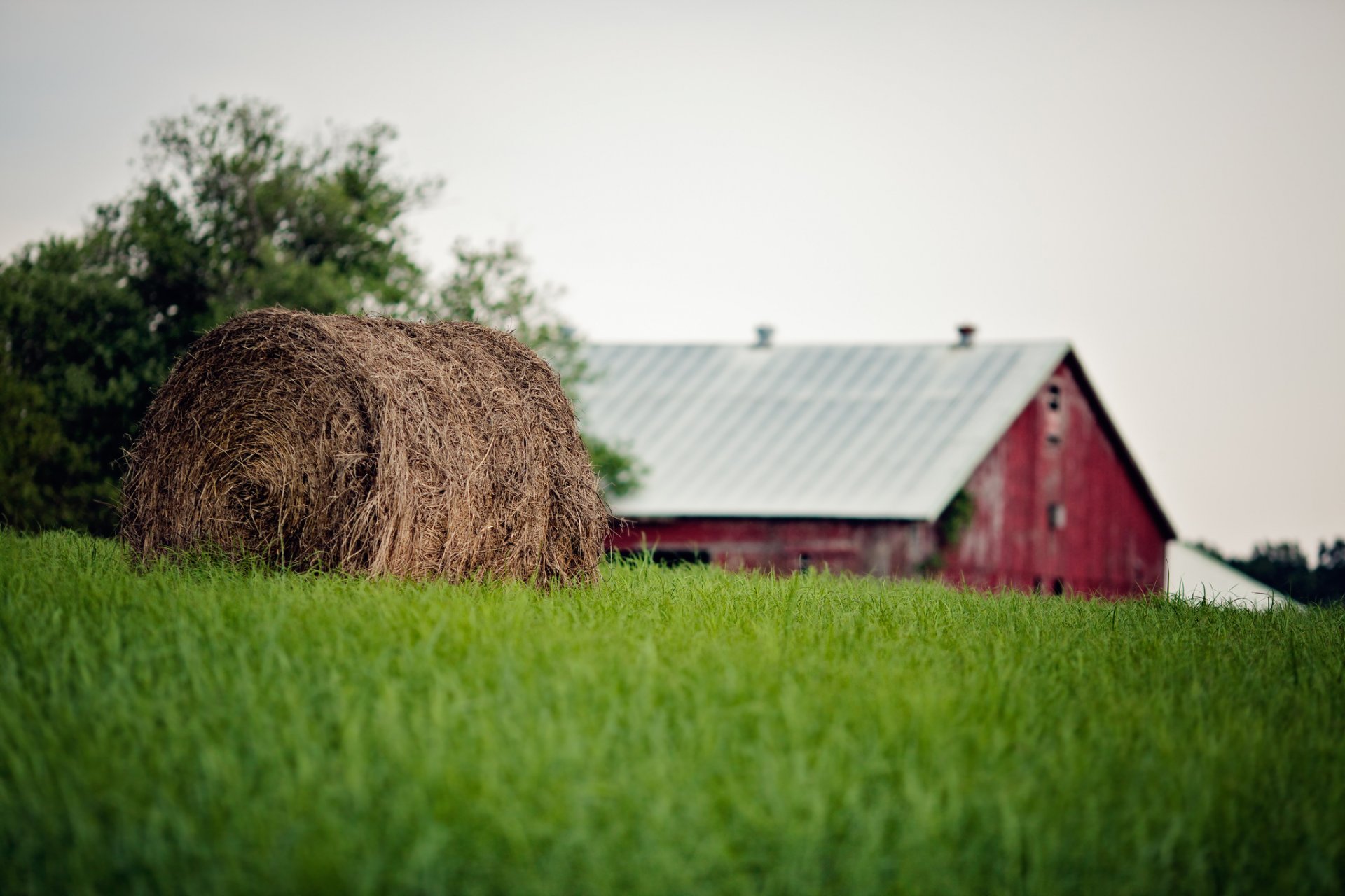 grass bale straw summer farm