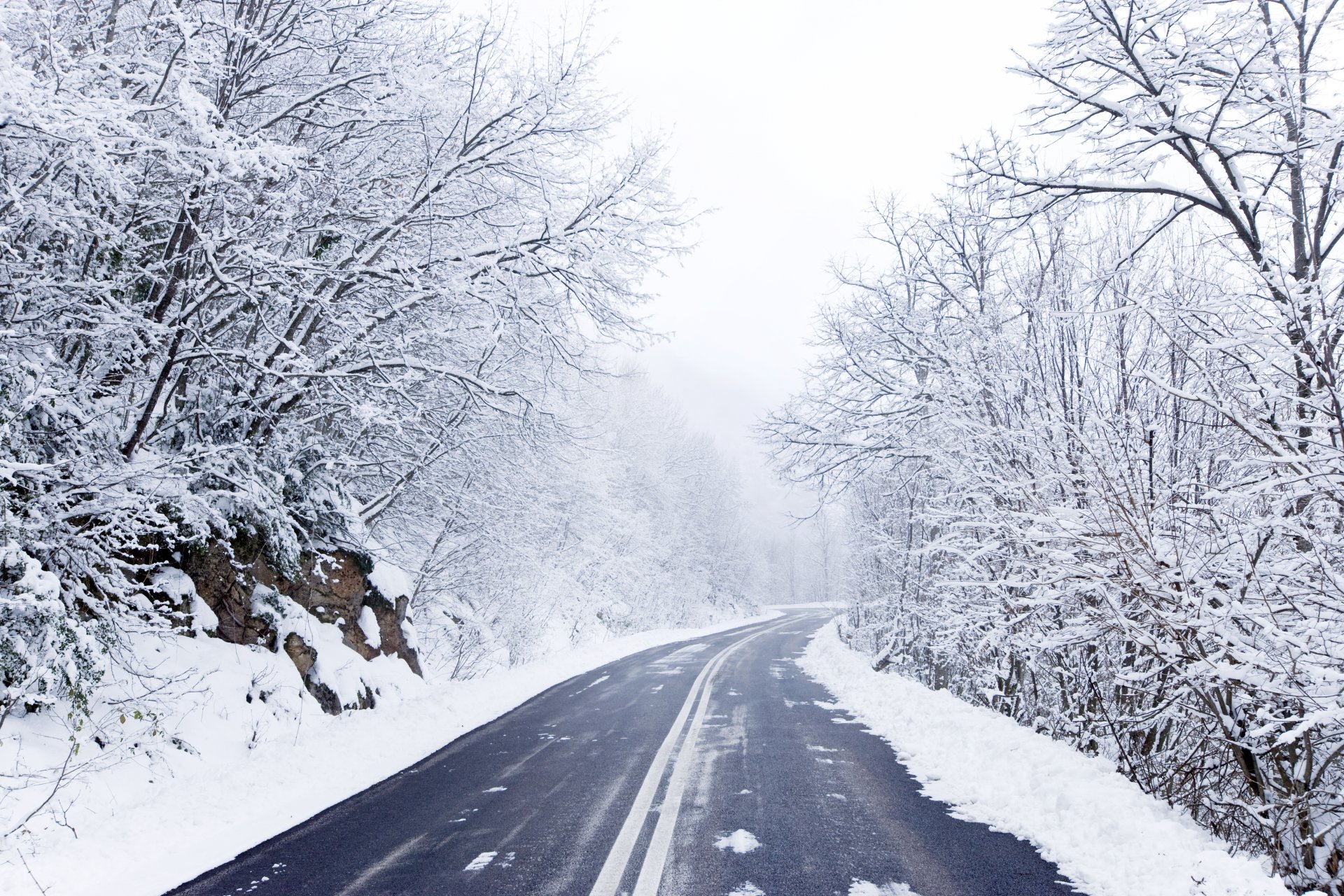 carretera árboles nieve invierno