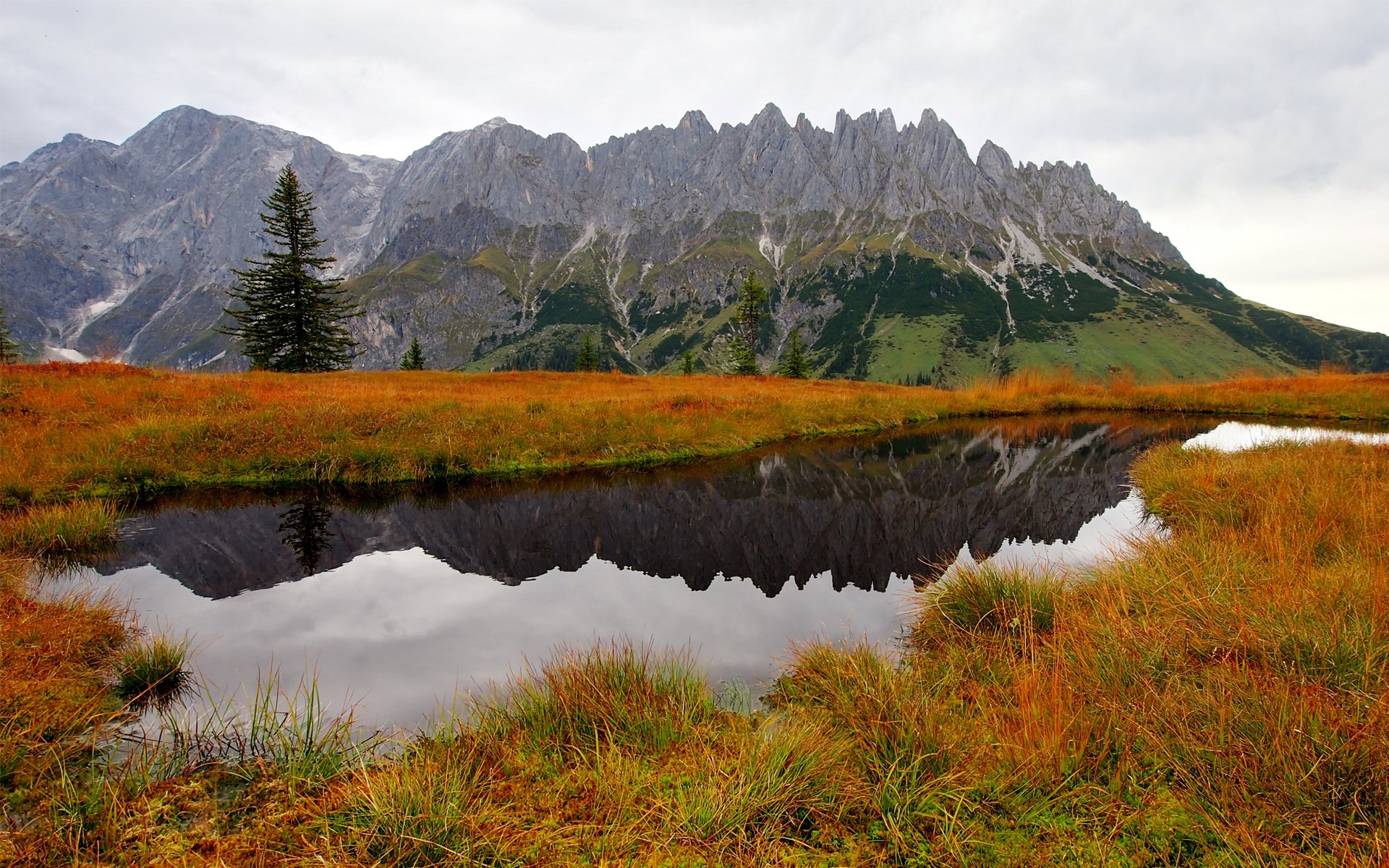 nature autumn mountain water lake grass tree spruce