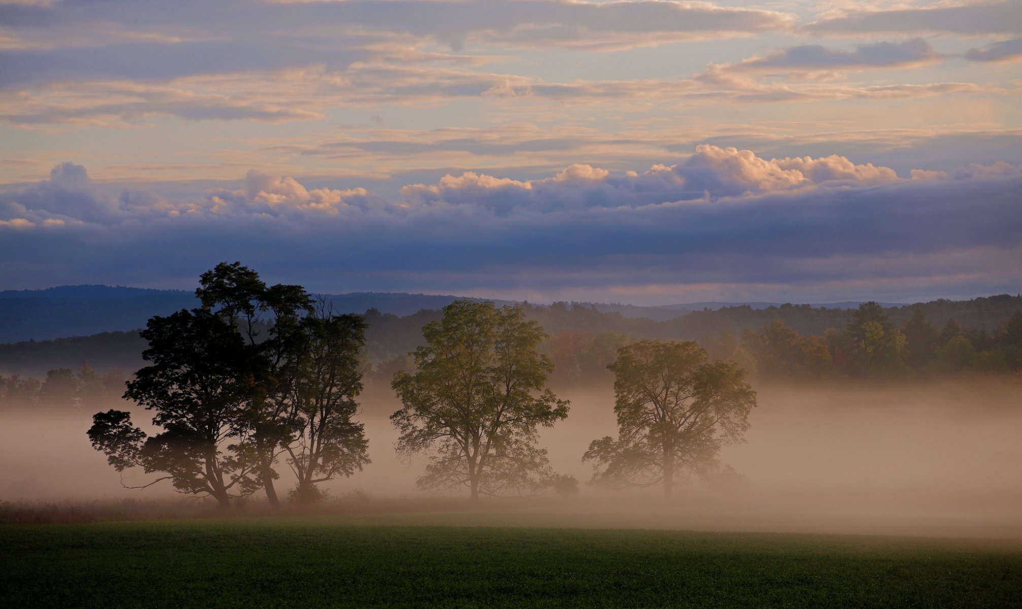 nature ciel nuages arbres brouillard