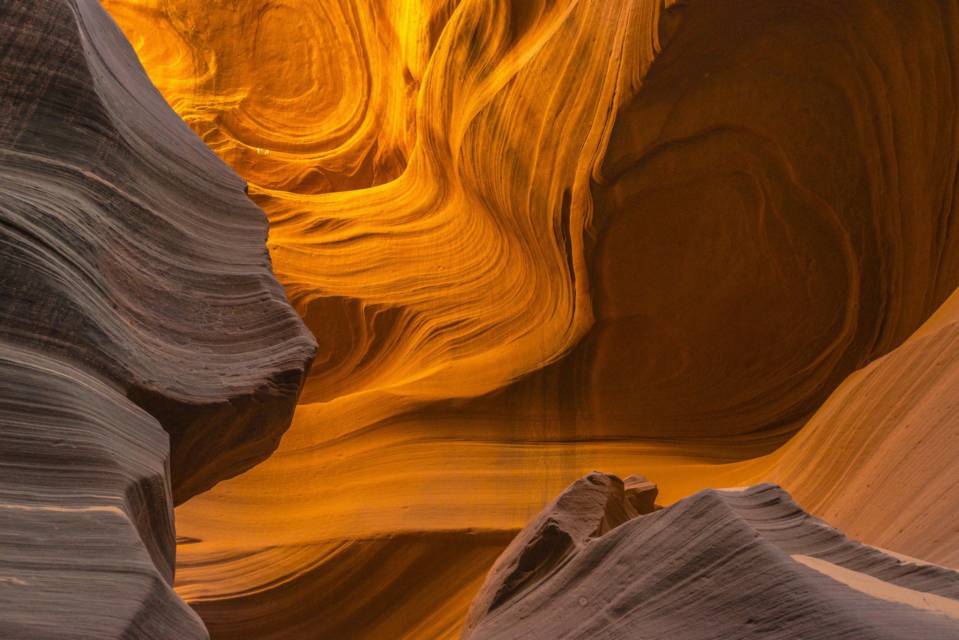 arizona usa canyon antilopen