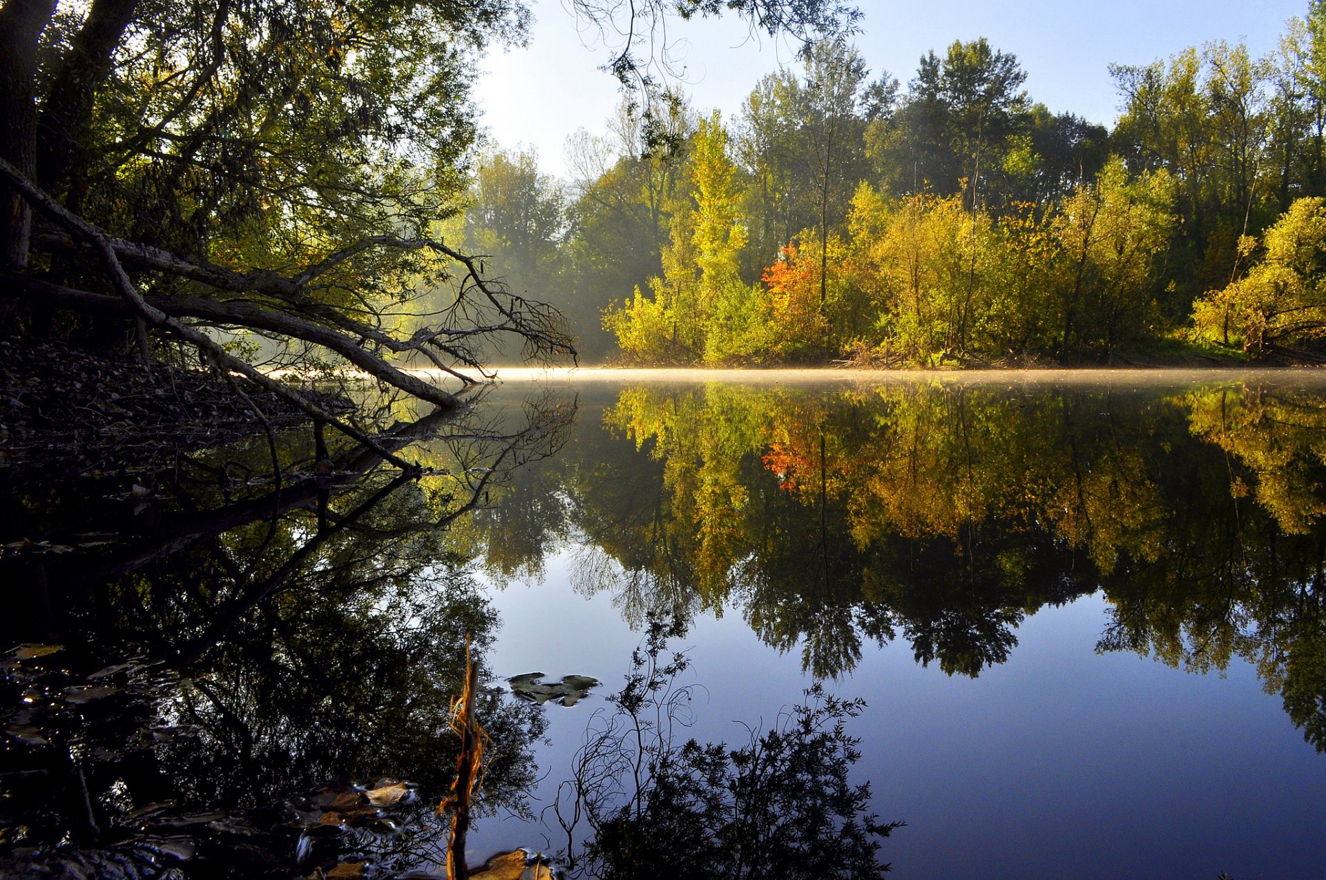 natura jezioro woda drzewa powierzchnia odbicie poranek słońce