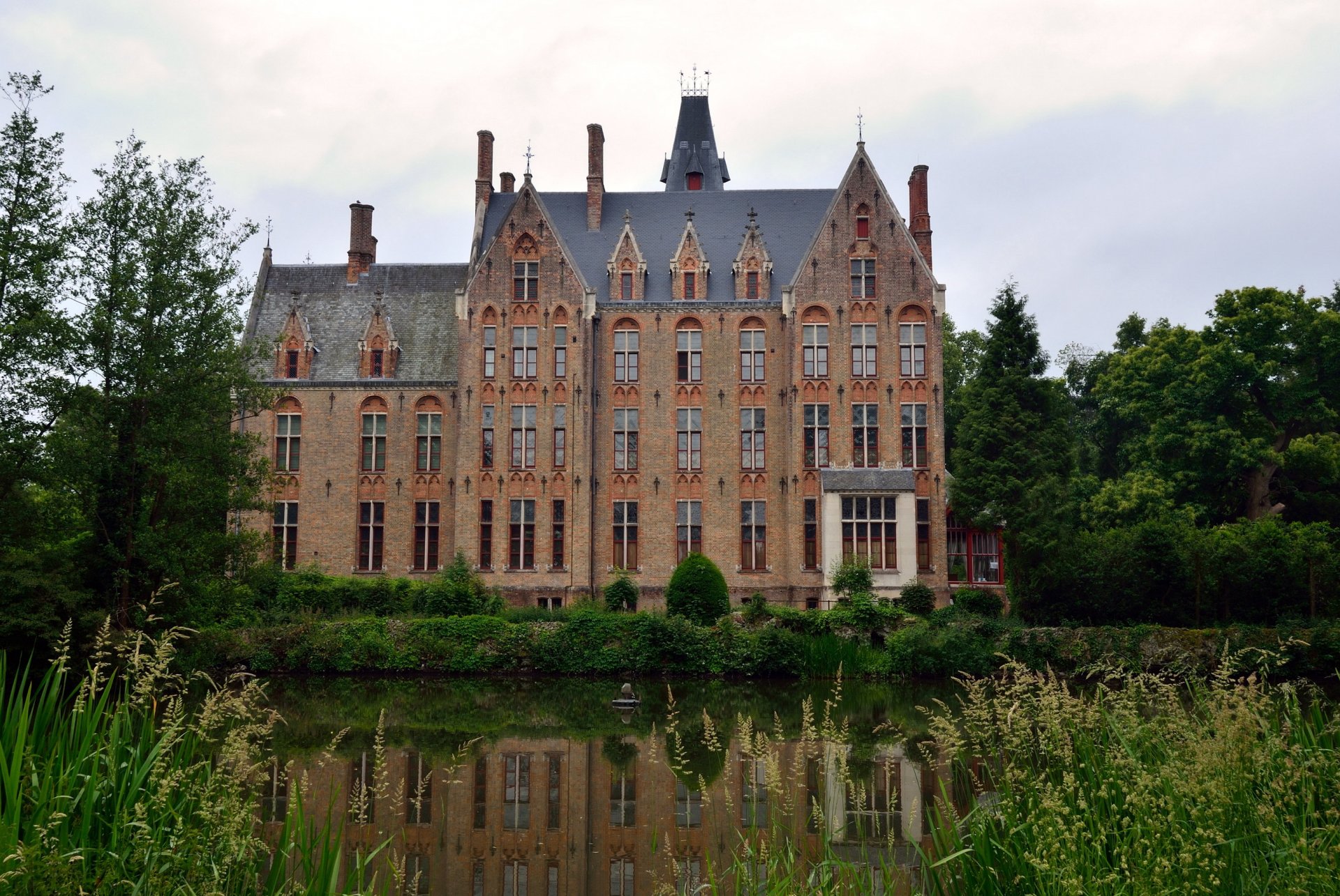 schloss bäume gras teich