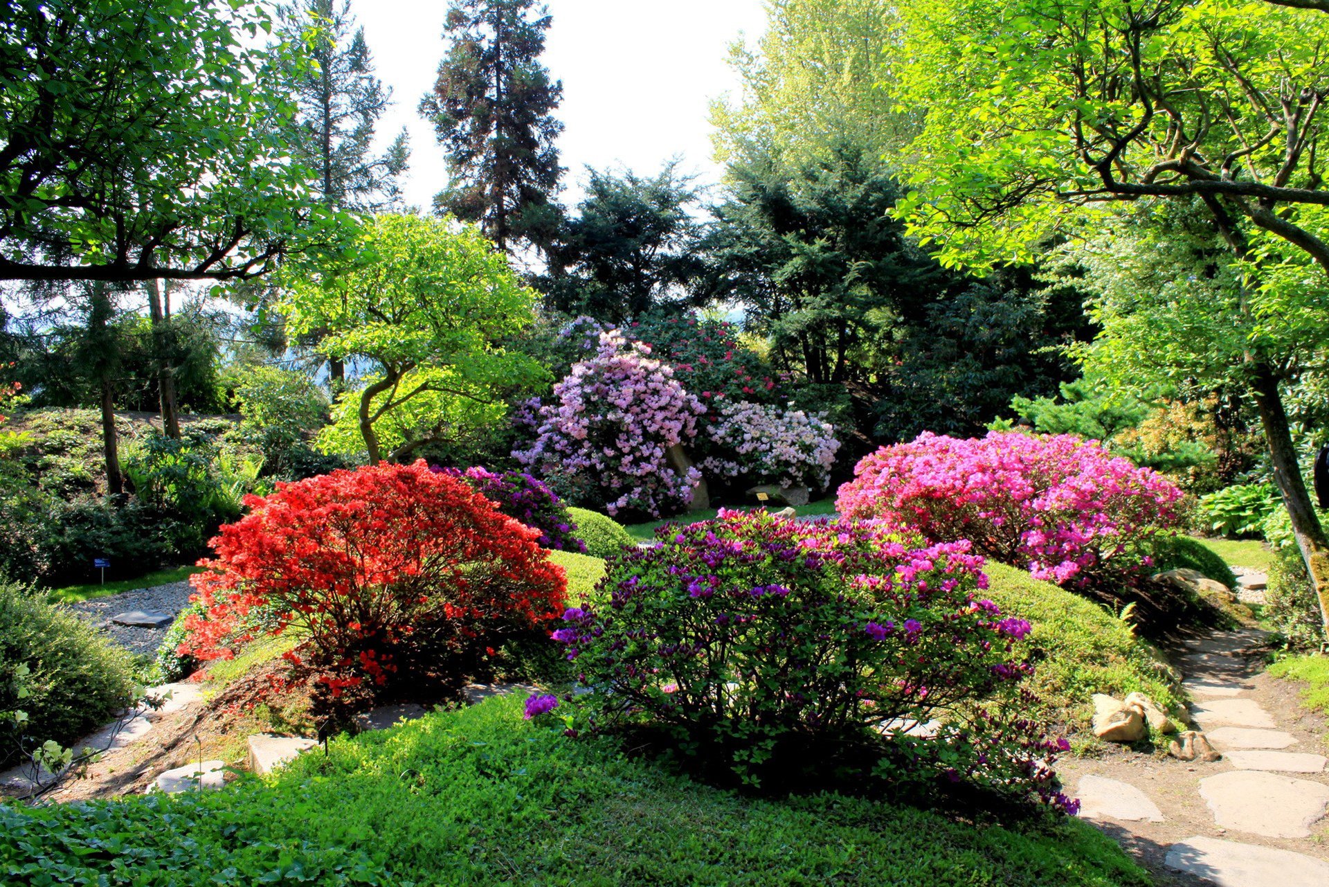 park aleja krzewy trawa kwiaty zieleń