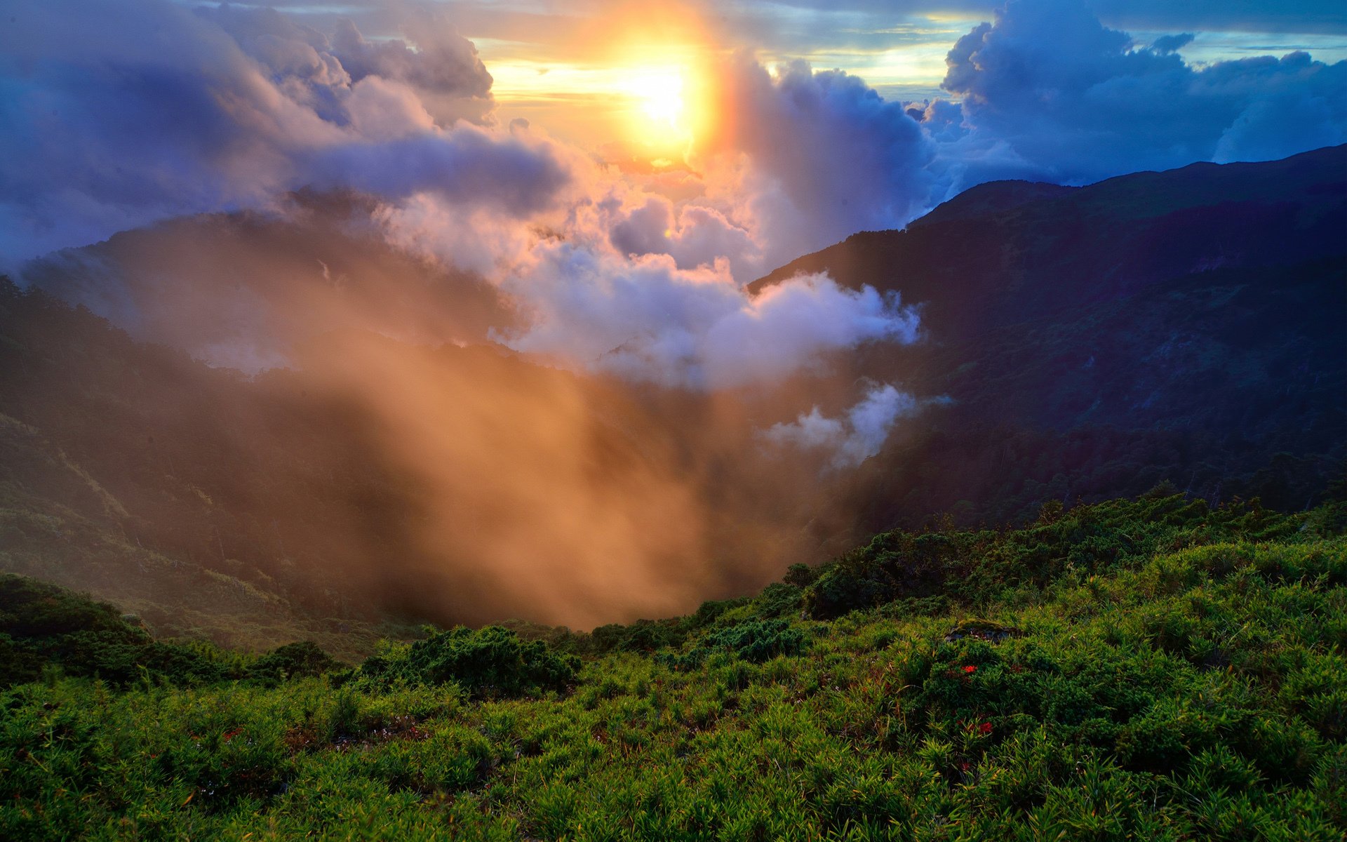 nature hills grass green morning sun fog