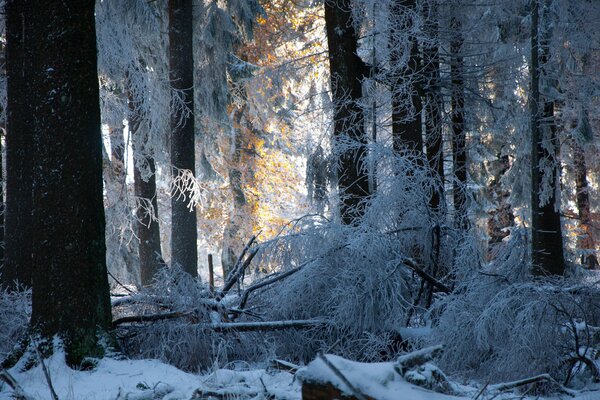 Ein Windschutz, der mit Schnee bedeckt ist