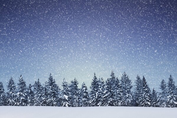 Bosque maravilloso de invierno en nieve esponjosa