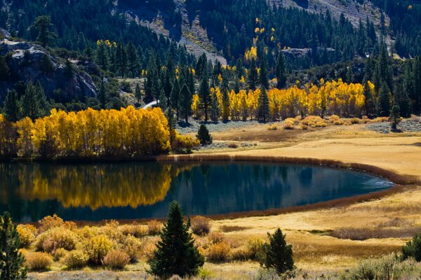 Decorazione autunnale del lago nella foresta