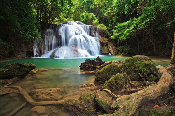 Steine im Moos am Wasserfall in einem düsteren Wald