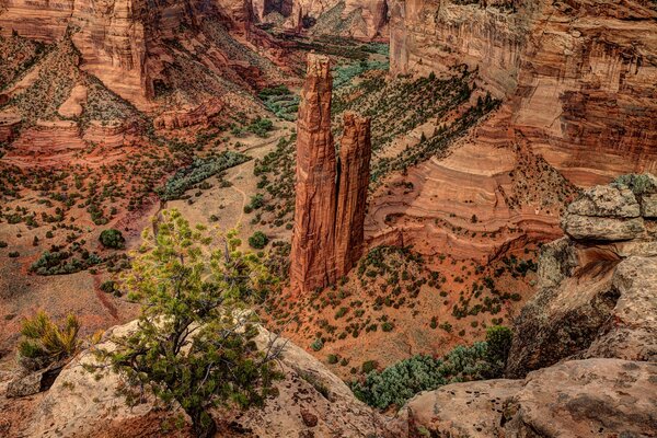 Canyons in summer with grass and trees