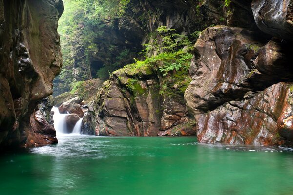 Nature, mountain river