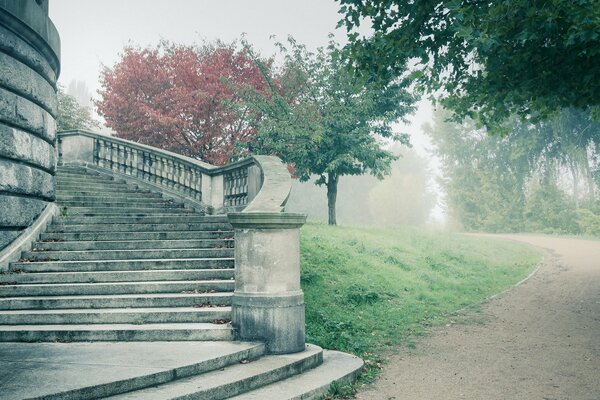 Escalier dans le brouillard. Route brumeuse