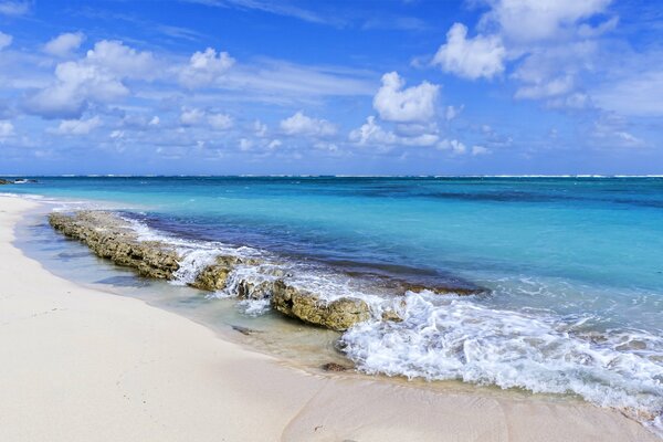 Plage de sable au bord de la mer sous le ciel bleu