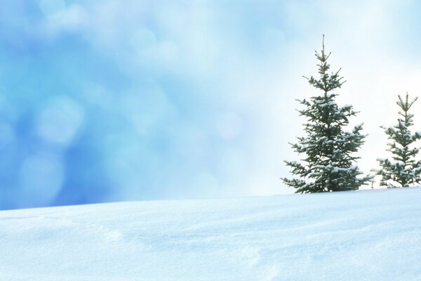 Winter Natur in der Landschaft