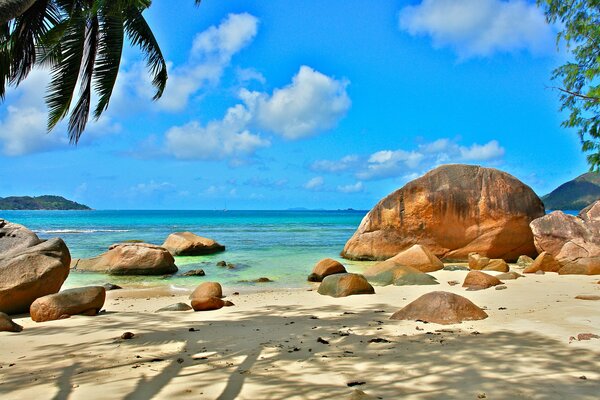 Vacation on the sandy shore of the Seychelles