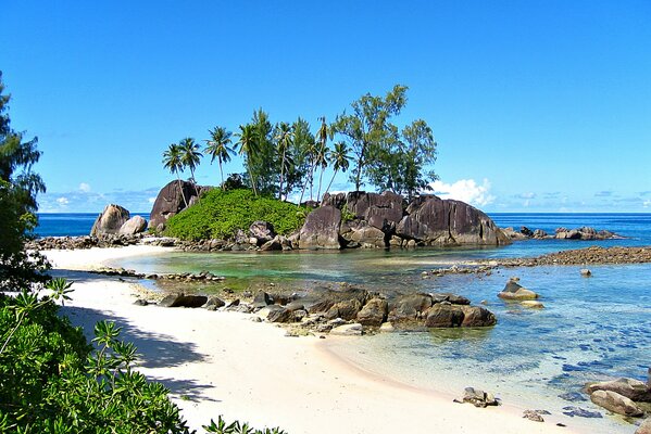 An uninhabited island with golden sand and palm trees