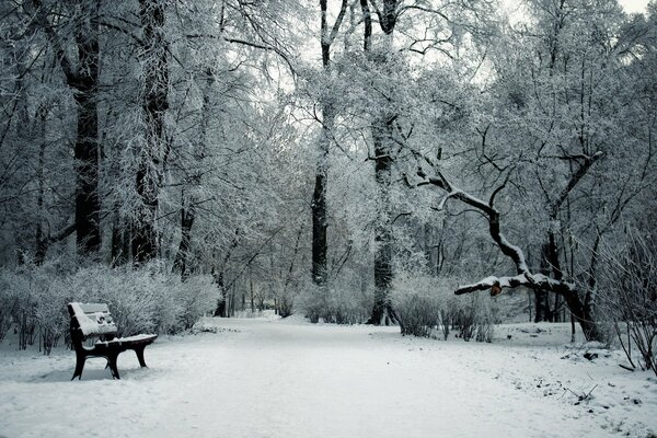 Banco en un parque cubierto de nieve en invierno