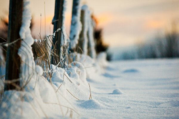 Gros plan de prise de vue de silence d hiver