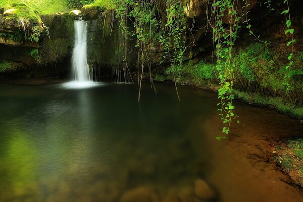 Un estanque con agua clara, orillas cubiertas de vegetación y una cascada