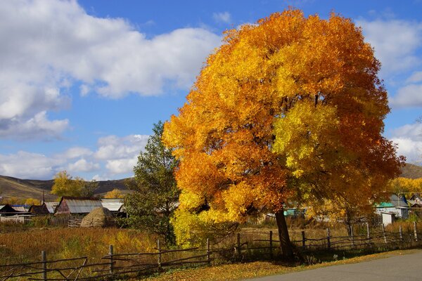 Colores de otoño en el pueblo