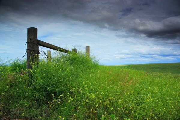 Der Zaun ist mit Gras bedeckt, Wolken treten auf