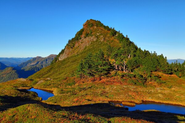 Collina verde con alberi. Lago montano