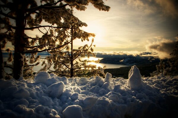 Snow and trees on the lake shore