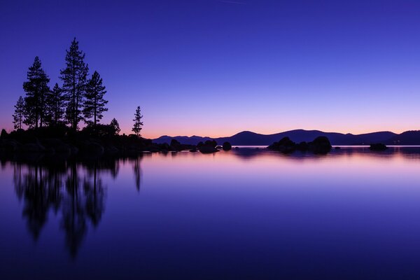 Evening landscape. Sea surface and trees