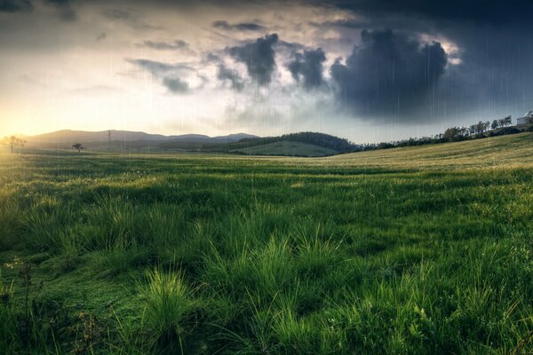 Collines et champs par mauvais temps