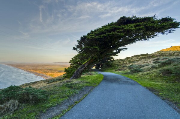 A long road by the sea coast