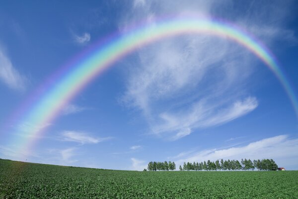 Arcobaleno luminoso sul campo verde