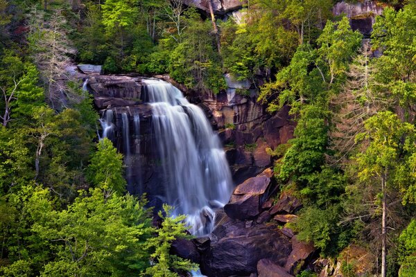 Waterfall in rocks and trees