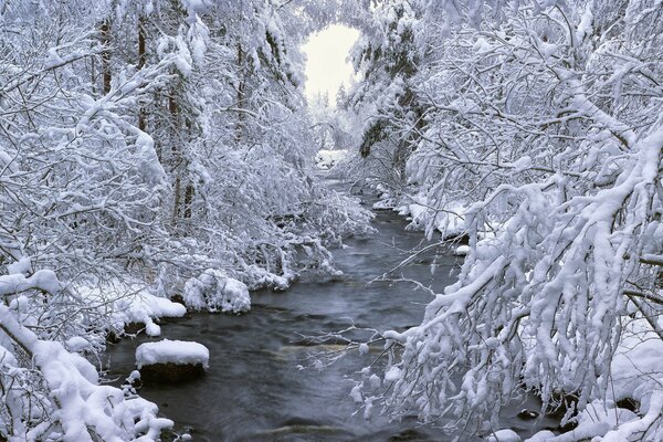 Fiume nella foresta di neve invernale in Svezia