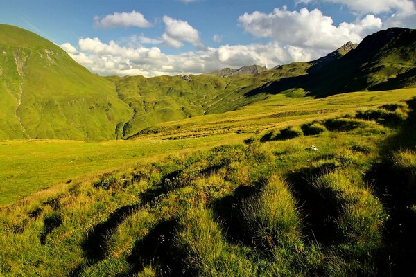 Green hills overgrown with grass