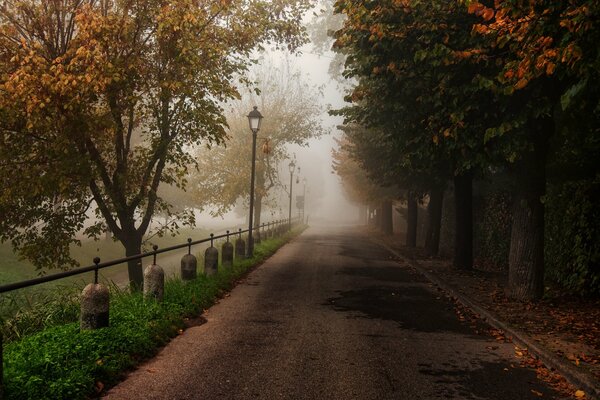 Herbstliche Landschaft der Straße im Park mit Bäumen