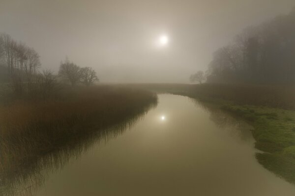 Fluss mit Bäumen im Nebel