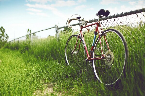 Red bike at the fence in the grass