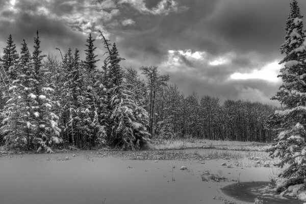 Wolken über dem Winterwald. Schwarz-Weiß-Foto