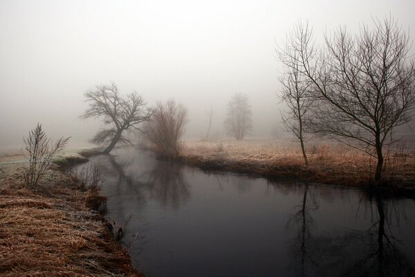 Der Nebel stieg zwischen dem Fluss über dem düsteren Himmel auf