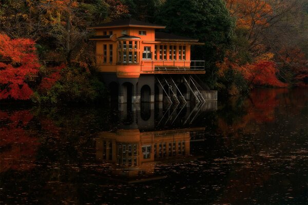 A house on the water in the autumn forest