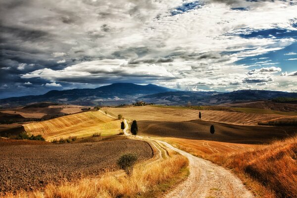 Strada sterrata attraverso un campo con erba gialla, orchi all orizzonte, cielo con nuvole