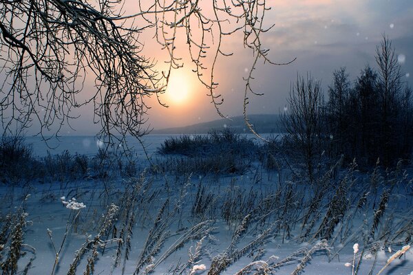 Puesta de sol de invierno en un campo vacío