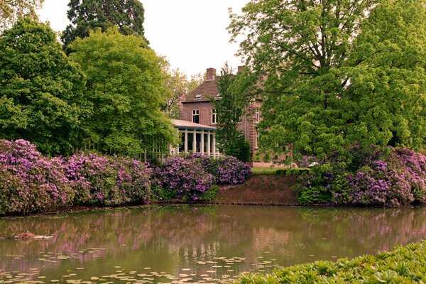 Maison avec parc et fleurs près de l étang