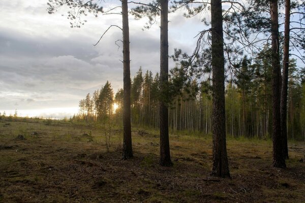 La bellezza della natura al tramonto serale