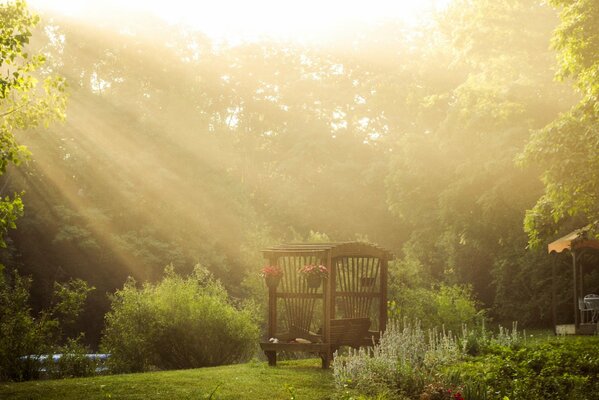 Gazebo in a clearing flooded with sunlight