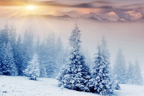 Montañas de invierno cubiertas de nieve