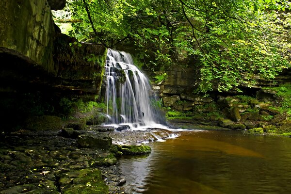 Petite cascade dans la forêt se jetant dans la rivière