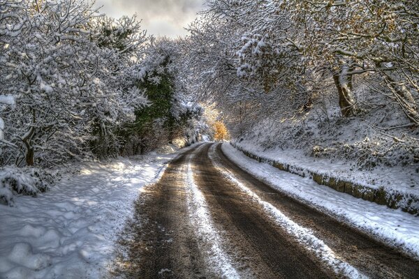 A forest road with large ruts and sprinkled with snow, surrounded by snow-covered trees